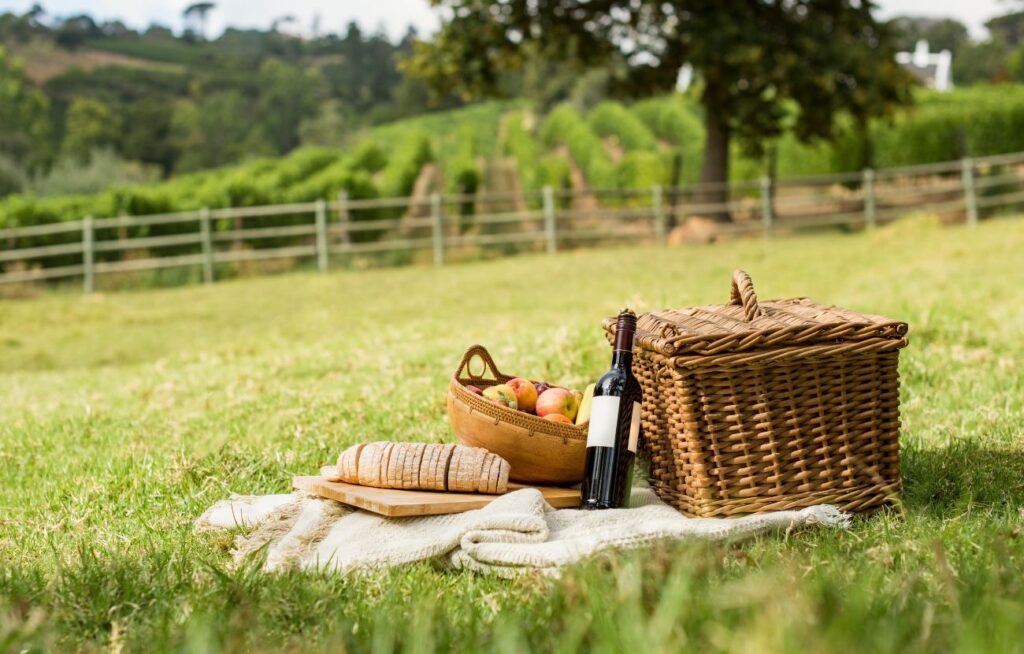 Picnic privato tra i vigneti
